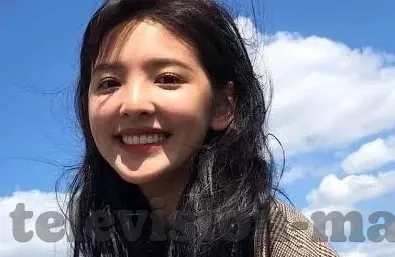 成人精品视频一区二区三区-成人教育新视界，一区、二区、三区的探索与思考