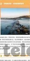 糖心app一对一平台-探索糖心APP一对一平台，线上交流的隐私与安全